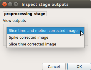 _images/outputcheck_stage_prep_fmri.png